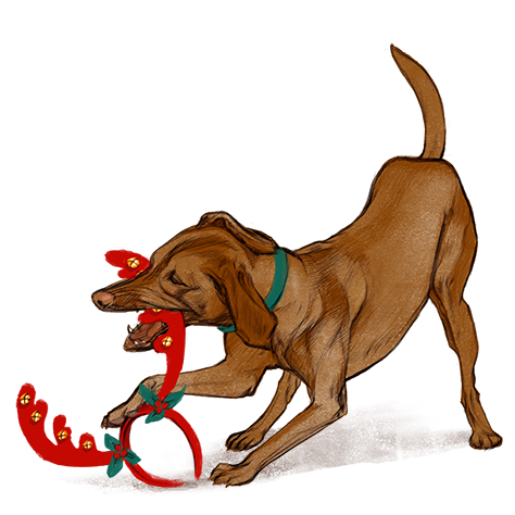 Christmas puppies, illustration.