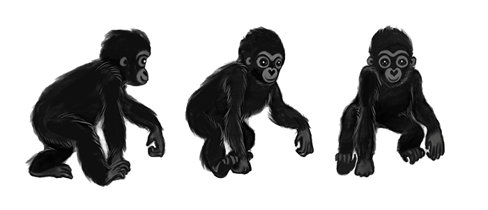 Gorilla, character turnaround illustration.
