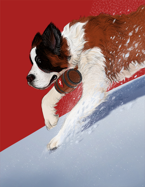 Saint Bernard, illustration.