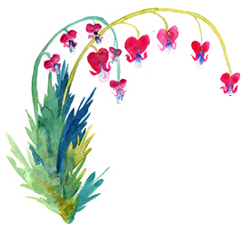 floral, illustration.