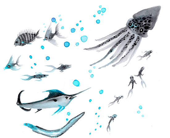 Sea life, illustration.